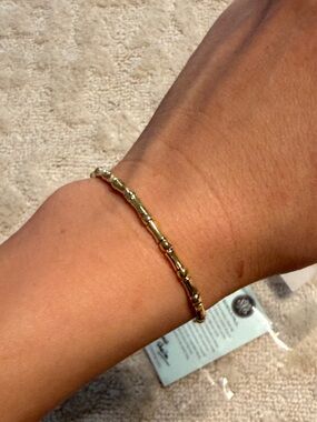 Sheila Fajl Small Bamboo Gold Elastic Bracelet